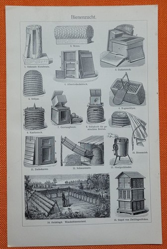 Bienen bienenzucht imker - bienen,