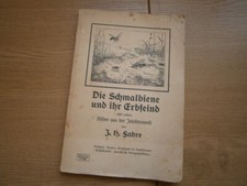 Fabre: "Die Schmalbiene und